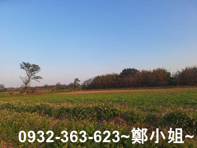 觀音農地-10