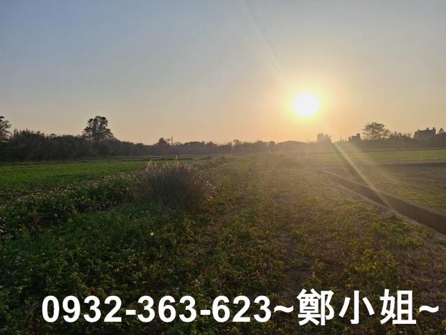 觀音農地-3
