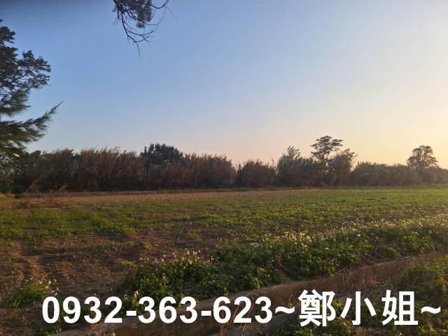 觀音農地-5