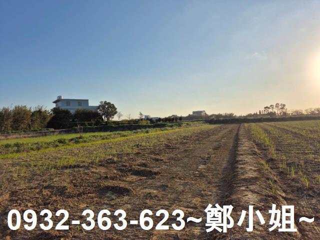 新屋農地-0