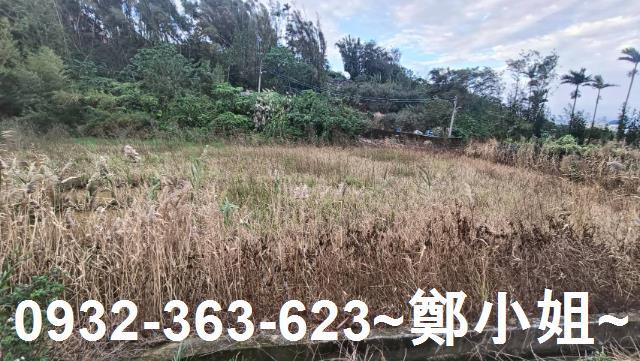 大溪農地-4