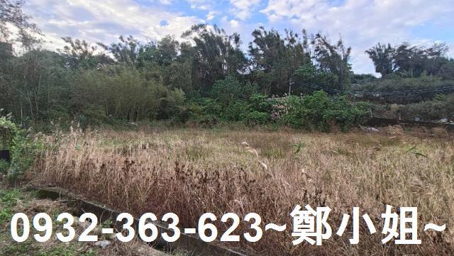 大溪農地-5