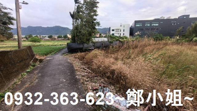 大溪農地-6