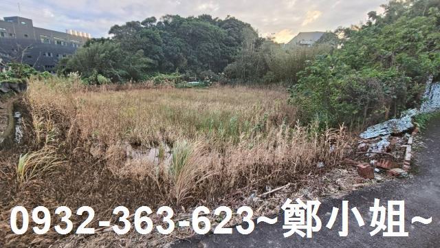 大溪農地-7