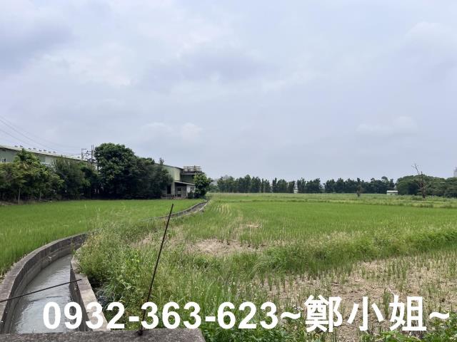 桃園區農地-2