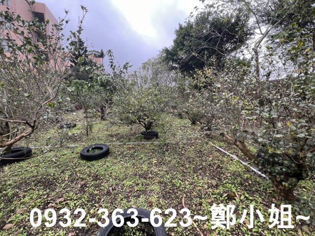 中壢農地-2