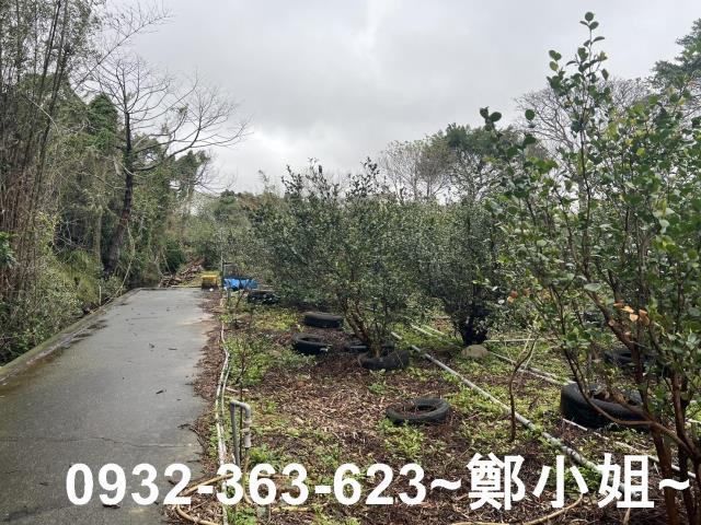 中壢農地-3