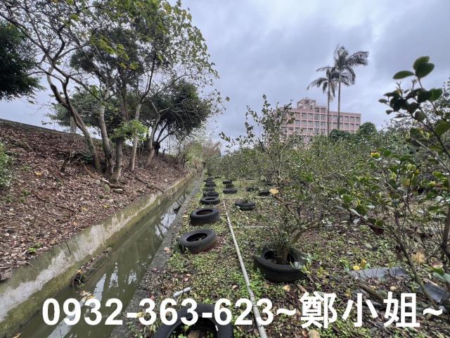 中壢農地-4