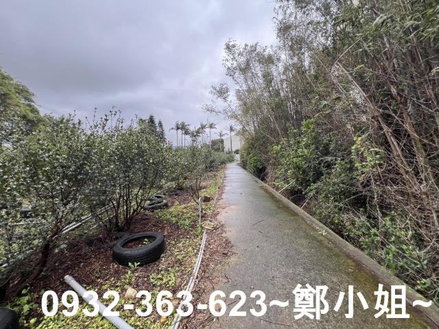 中壢農地-6