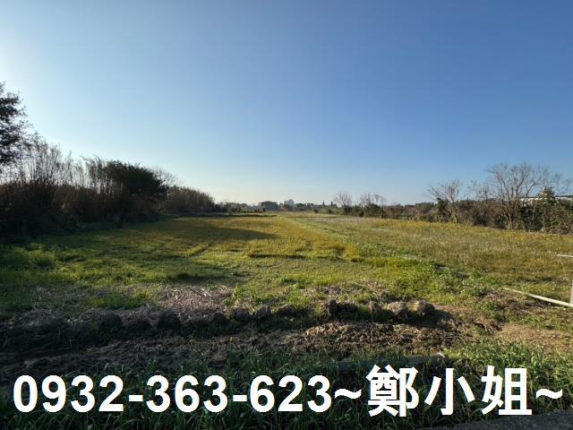 桃園農地-0