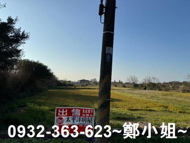 桃園農地-4