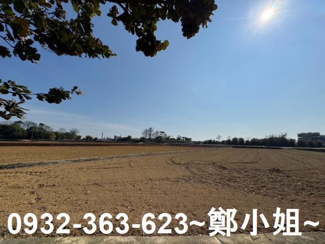 桃園農地-2