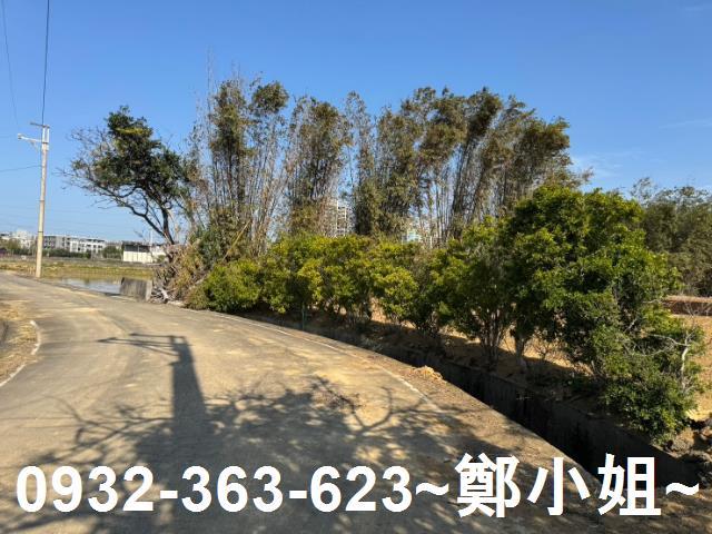 桃園農地-6
