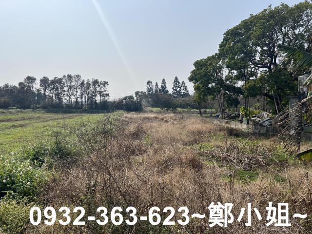 觀音農地-6