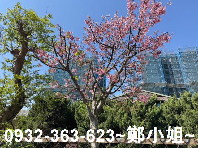 新北鶯歌建地-7