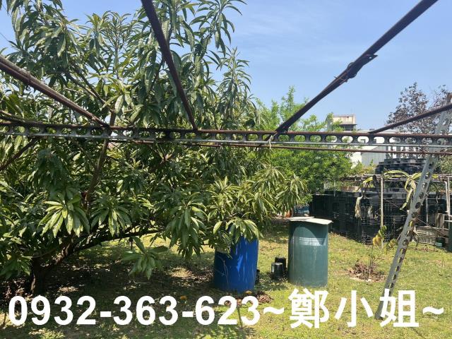 桃園八德農地-7