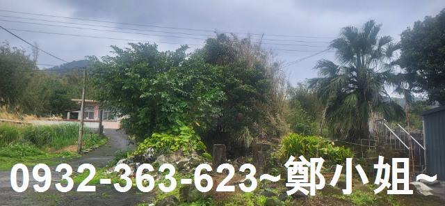 新北金山農地-3