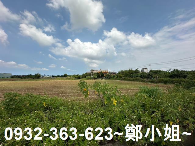 桃園楊梅農地-4
