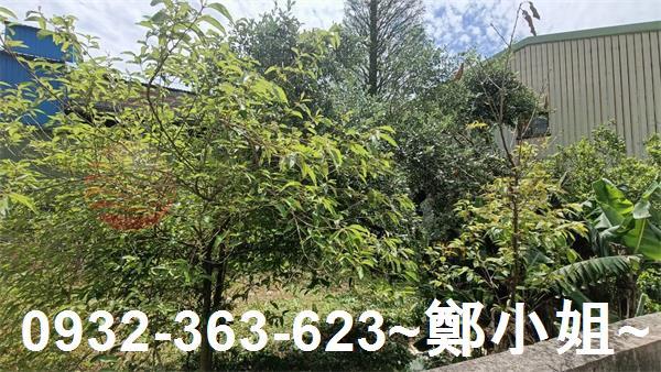 桃園建地-2