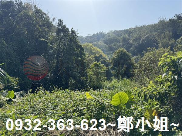 新竹新埔農地-10