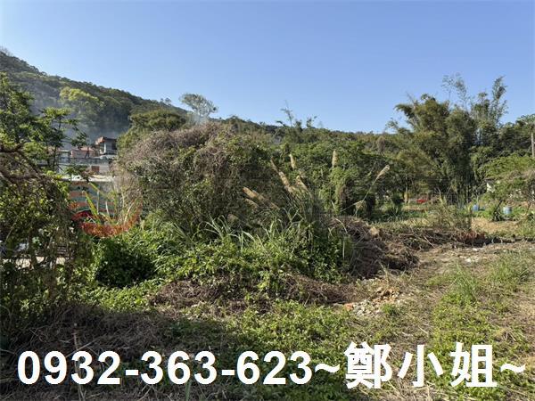 新竹新埔農地-11