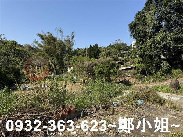 新竹新埔農地-12