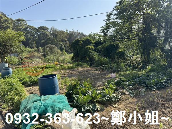 新竹新埔農地-13