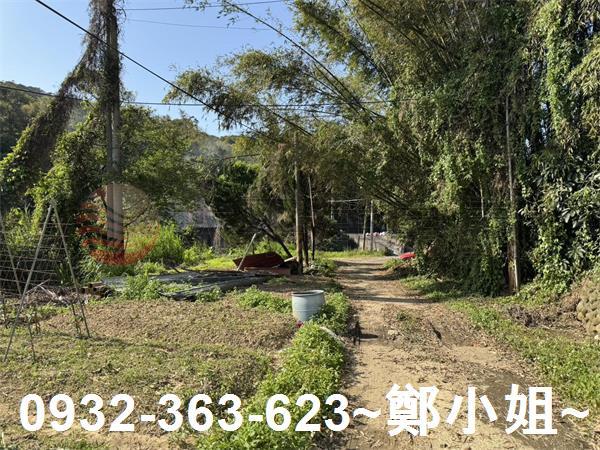 新竹新埔農地-14