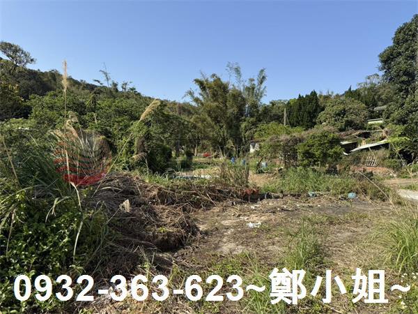 新竹新埔農地-1
