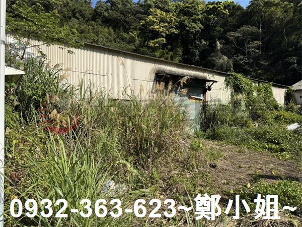 新竹新埔農地-2