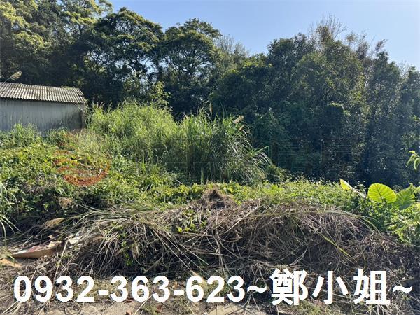 新竹新埔農地-3