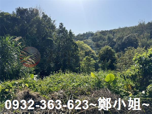 新竹新埔農地-4