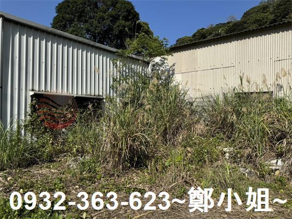 新竹新埔農地-5
