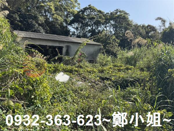 新竹新埔農地-6