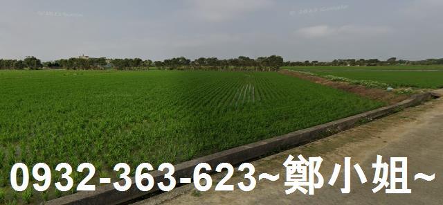 桃園新屋農地-0