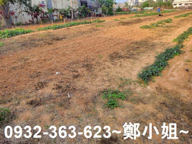中壢農地-3
