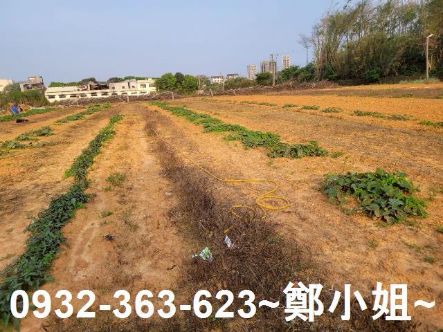 中壢農地-4