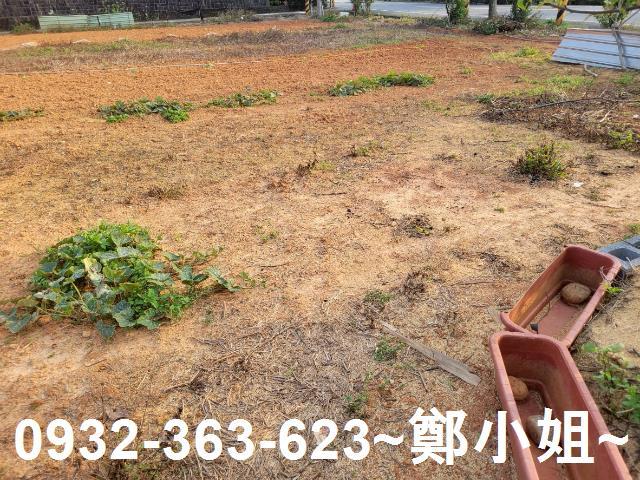 中壢農地-5