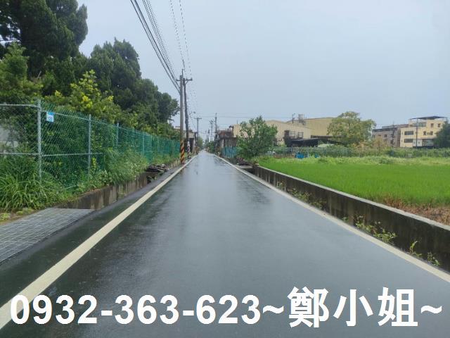桃園大園農地-1