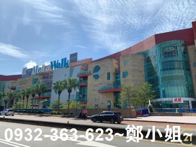 桃園大園農地-7