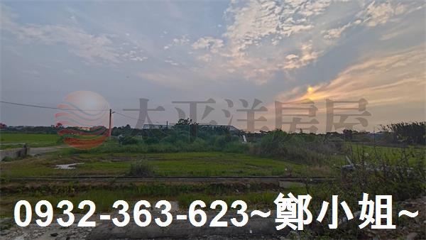 桃園大園農地-0