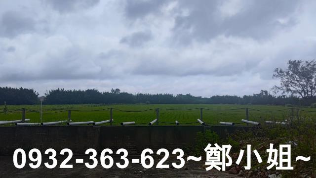 桃園大園農地-1