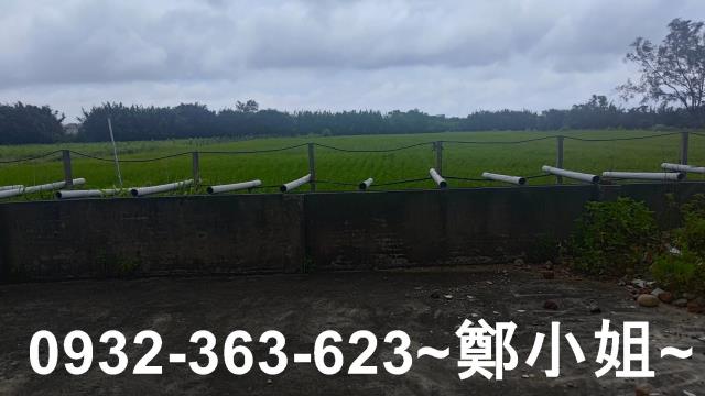 桃園大園農地-2