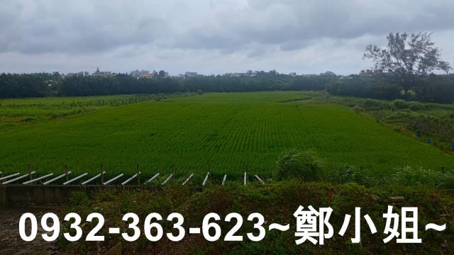 桃園大園農地-4