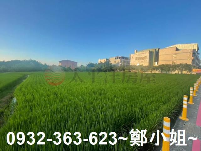 中壢農地-10