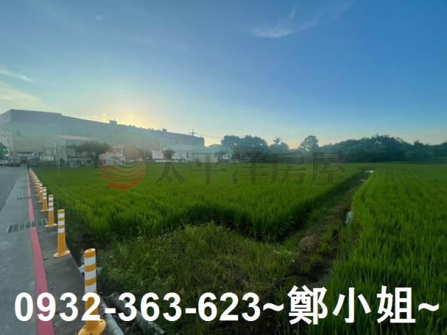 中壢農地-11