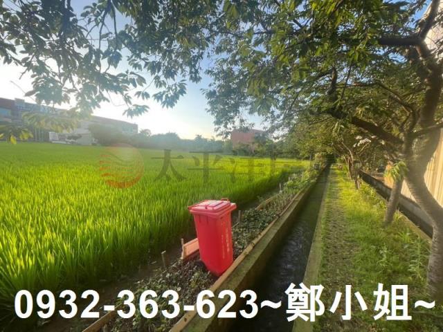 中壢農地-12
