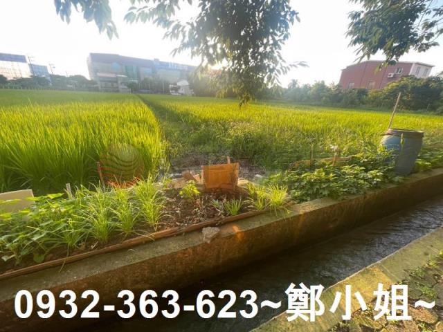 中壢農地-13