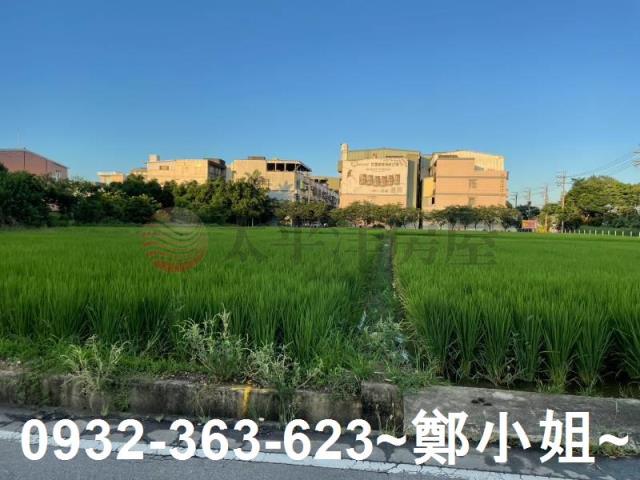 中壢農地-2