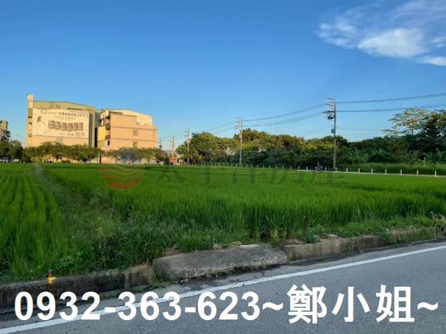 中壢農地-6